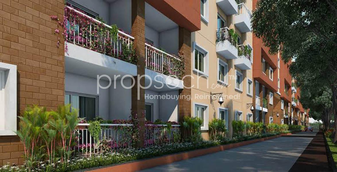 Brigade Bricklane,Kogilu,Bengaluru- Views