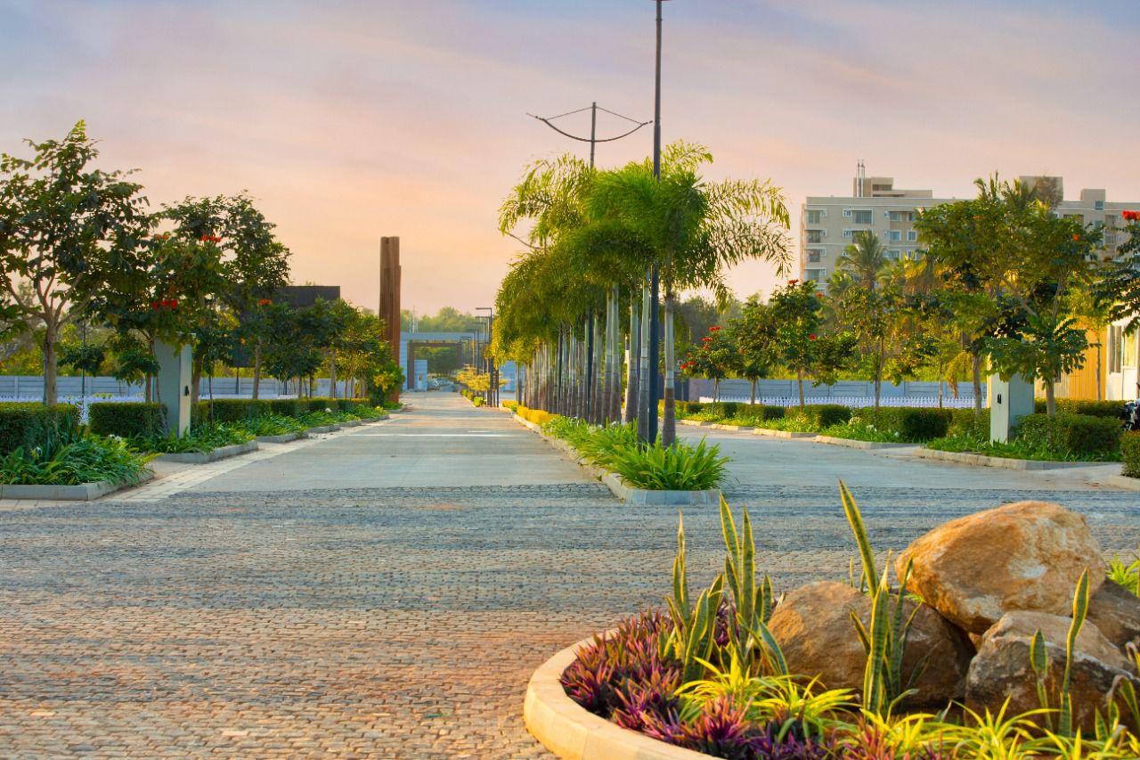 Valmark Orchards,Devanahalli,Bengaluru- Views