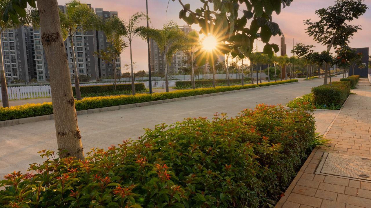 Valmark Orchards,Devanahalli,Bengaluru- Views