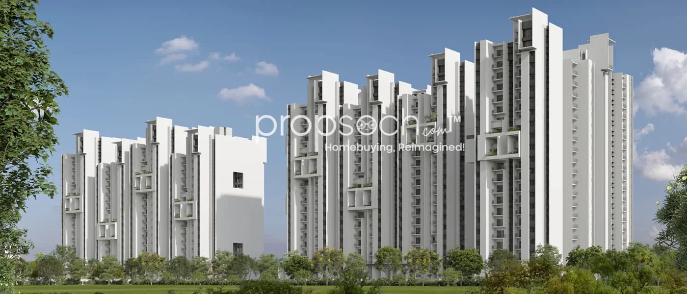 Rohan Ekanta image 6