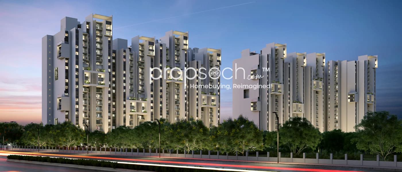 Rohan Ekanta image 8