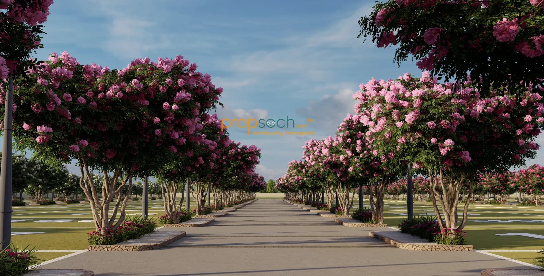 RAK Felicity image 5