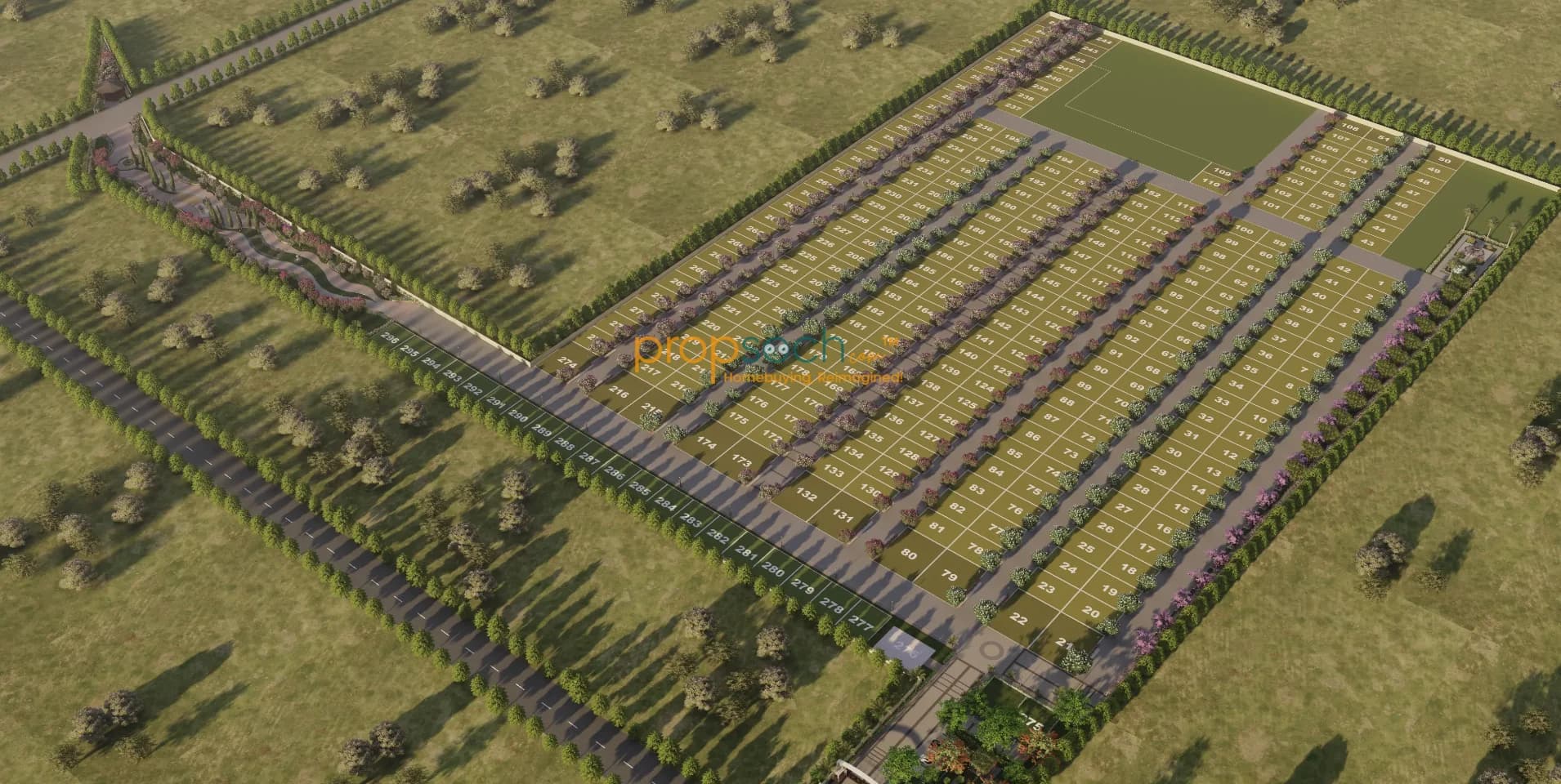 RAK Felicity image 7