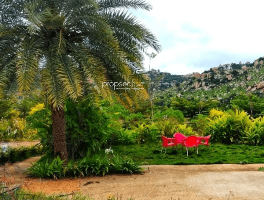 NBR Hill view,Nandi Hills,Bengaluru- Views
