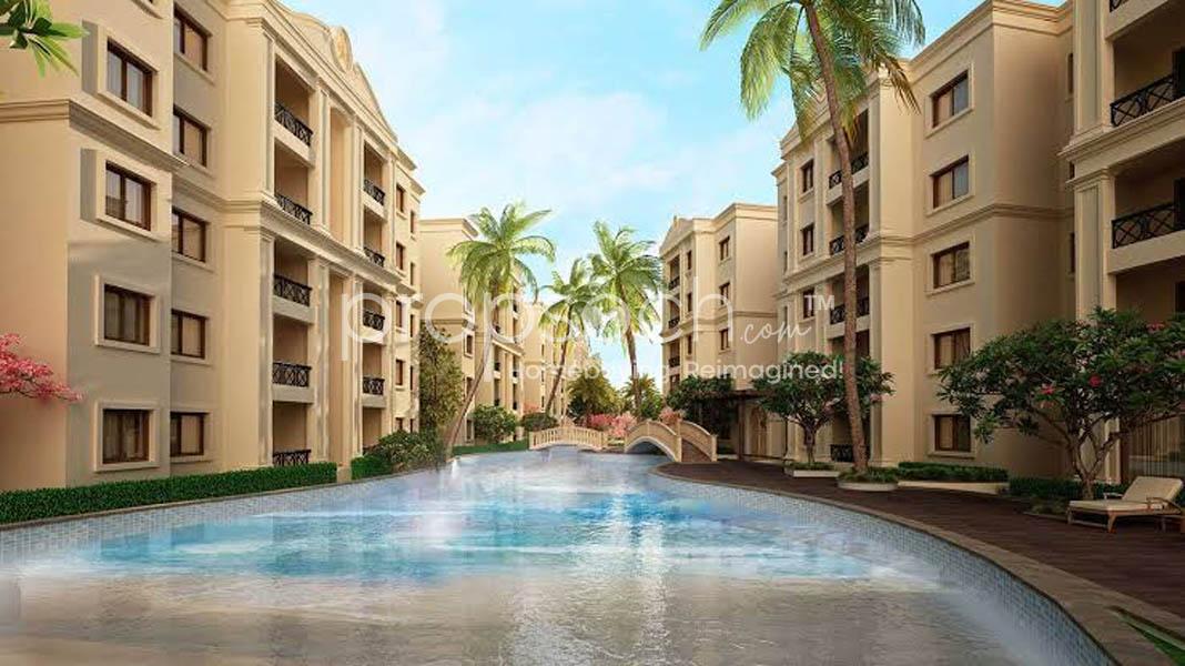 Legacy Salvador,Yelahanka,Bengaluru- Views