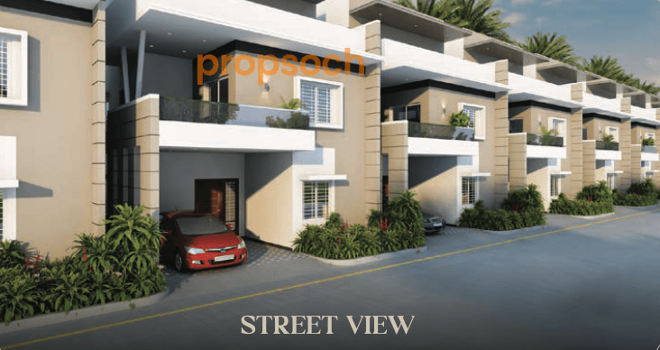 M1 Terra Algeria,Hoskote,Bengaluru- Views