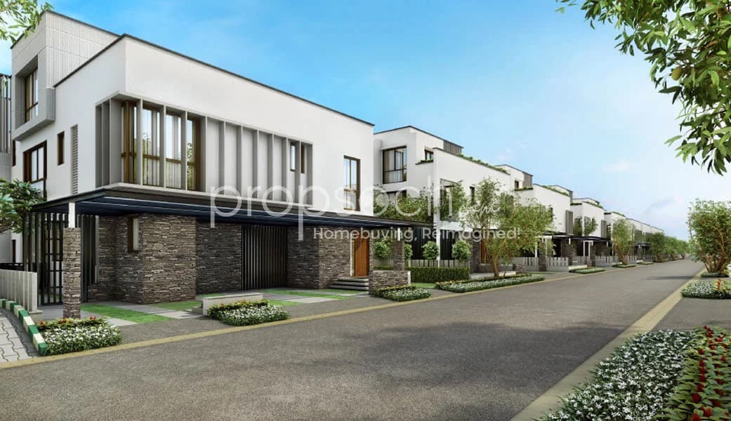 Under the Sun image 1