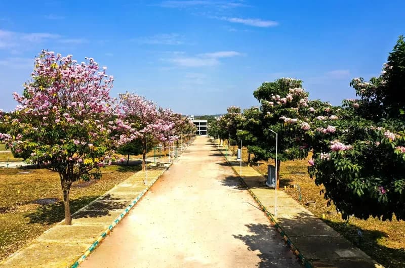 The Green Valley Address image 2 The Green Valley Address image 2