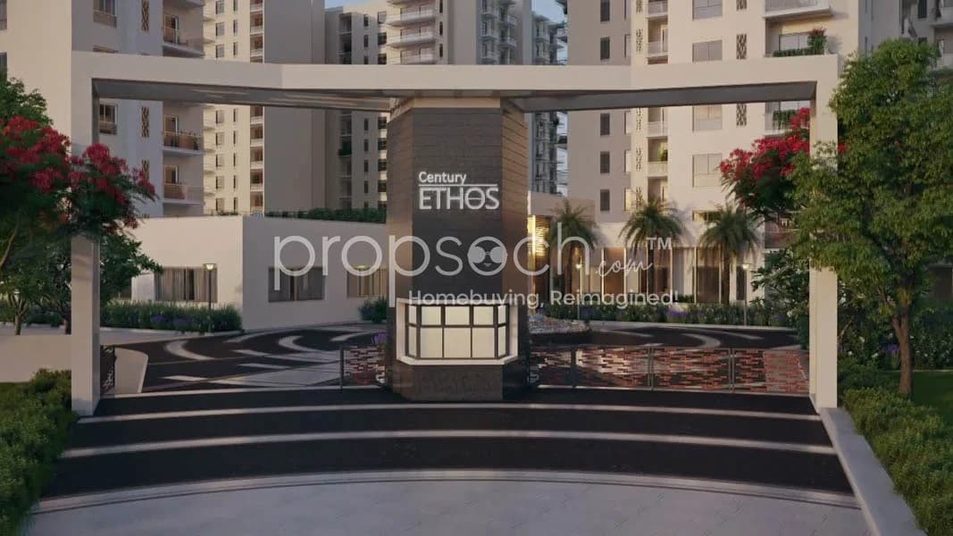 Century Ethos (Sheltors Share) image 4 Century Ethos (Sheltors Share) image 4