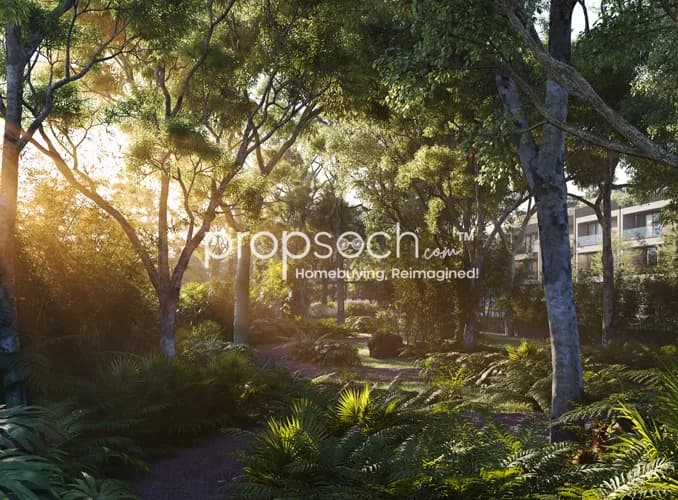 Arvind Forest Trails image 10 Arvind Forest Trails image 10