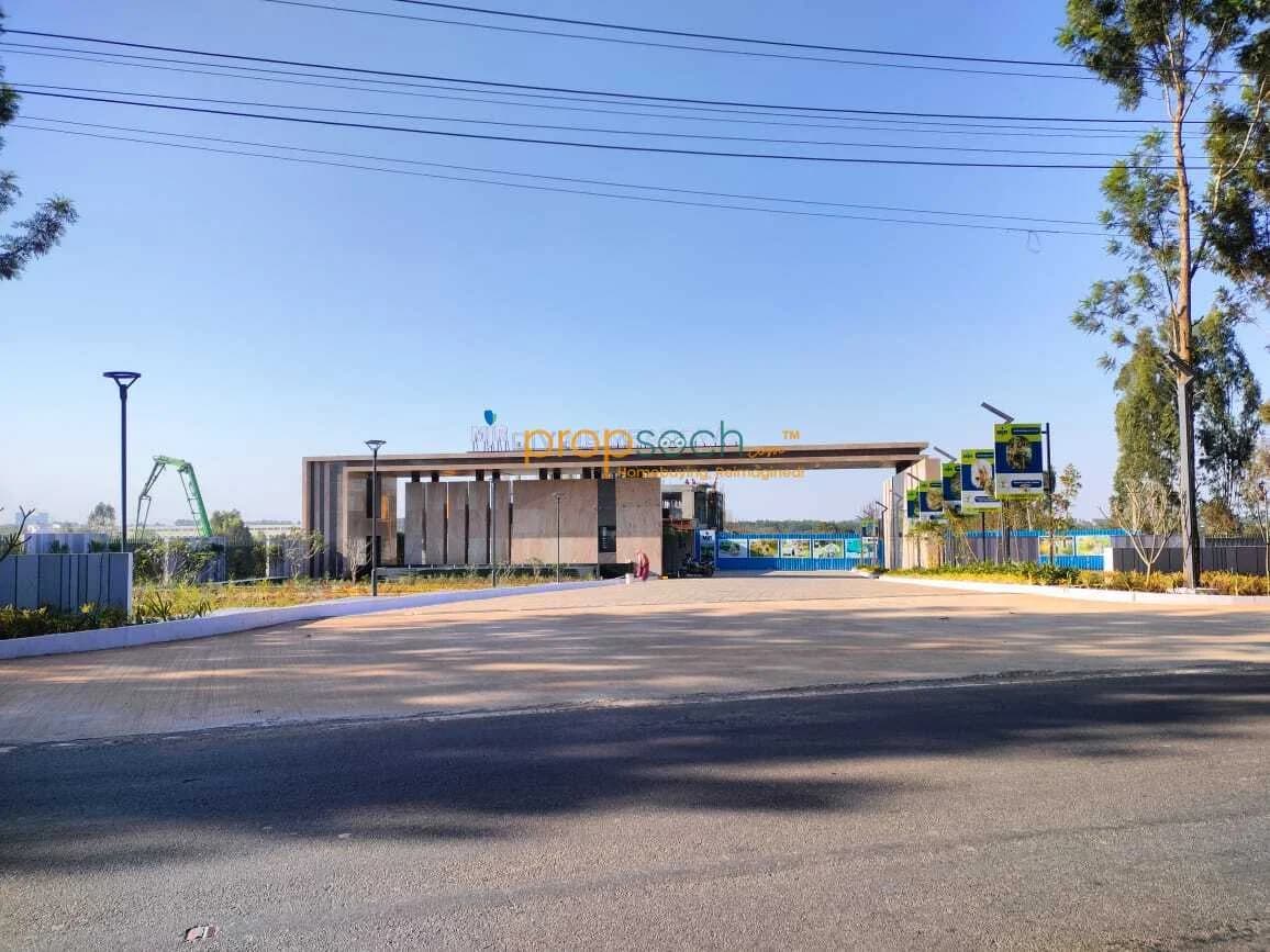 MJR Divine Meadows image 16 MJR Divine Meadows image 16