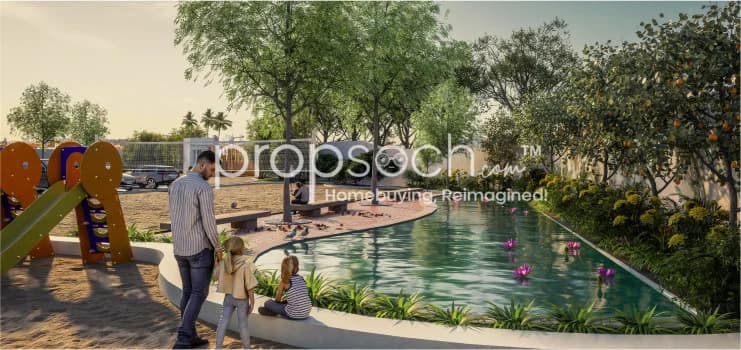 Saiven Mulberry Groves image 9 Saiven Mulberry Groves image 9