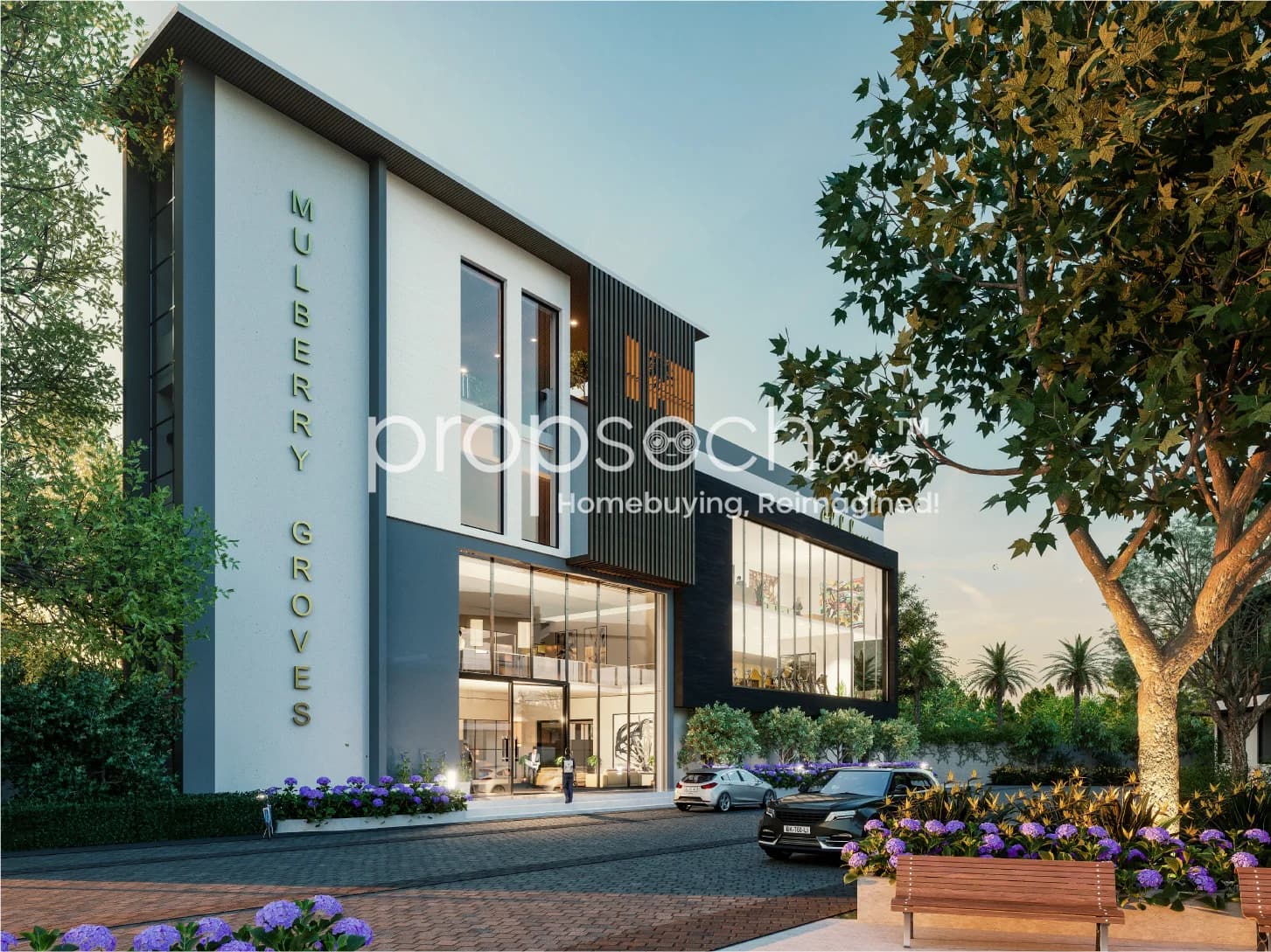 Saiven Mulberry Groves image 6 Saiven Mulberry Groves image 6