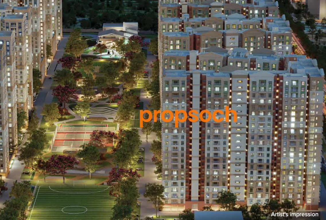 Image of Cobalt at Brigade El Dorado Image of Cobalt at Brigade El Dorado