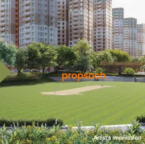 Cobalt at Brigade El Dorado image 3 Cobalt at Brigade El Dorado image 3