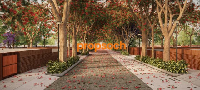 Tangled Up in Green Doddaballapur Road Bengaluru Views Tangled Up in Green Doddaballapur Road Bengaluru Views