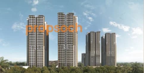 DSR the Address image 2 DSR the Address image 2