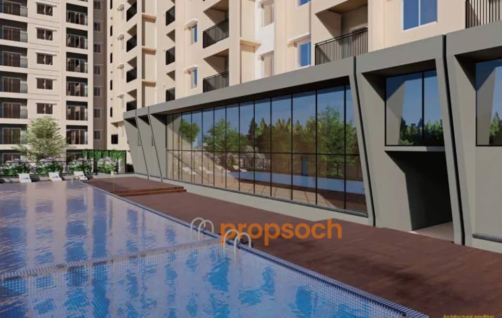 Century Liva image 2 Century Liva image 2