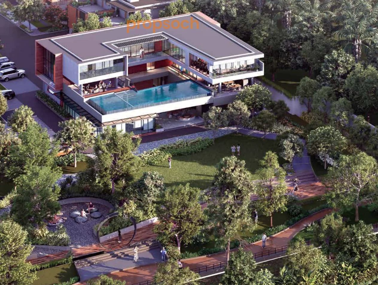 Capstone The Midsummer Rain - Phase 1 image 5 Capstone The Midsummer Rain - Phase 1 image 5