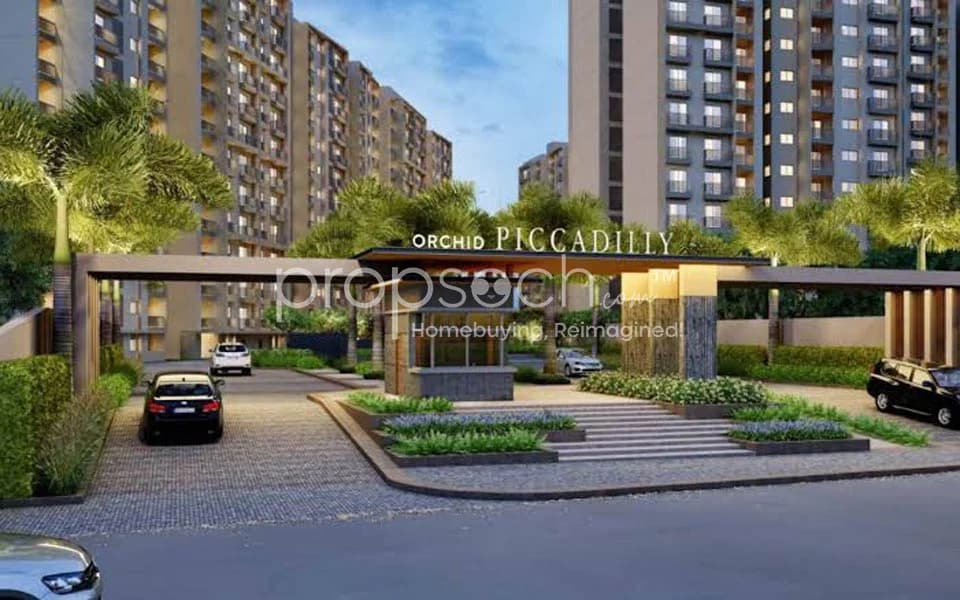 Orchid Piccadilly image 3 Orchid Piccadilly image 3