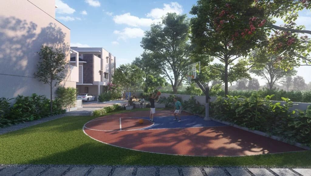 NVT Under The Open Sky image 8 NVT Under The Open Sky image 8