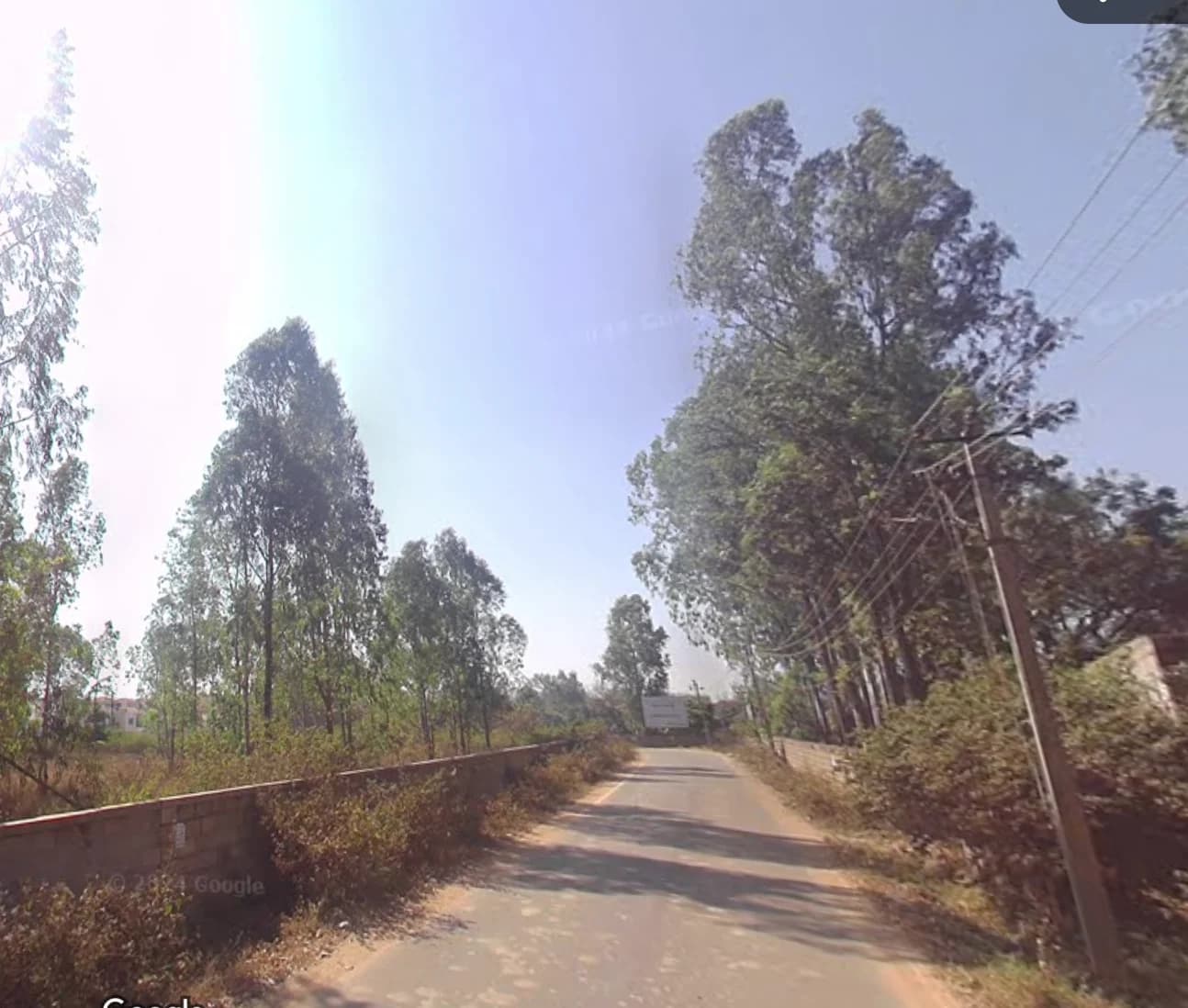 Radiance Floresta image 7 Radiance Floresta image 7