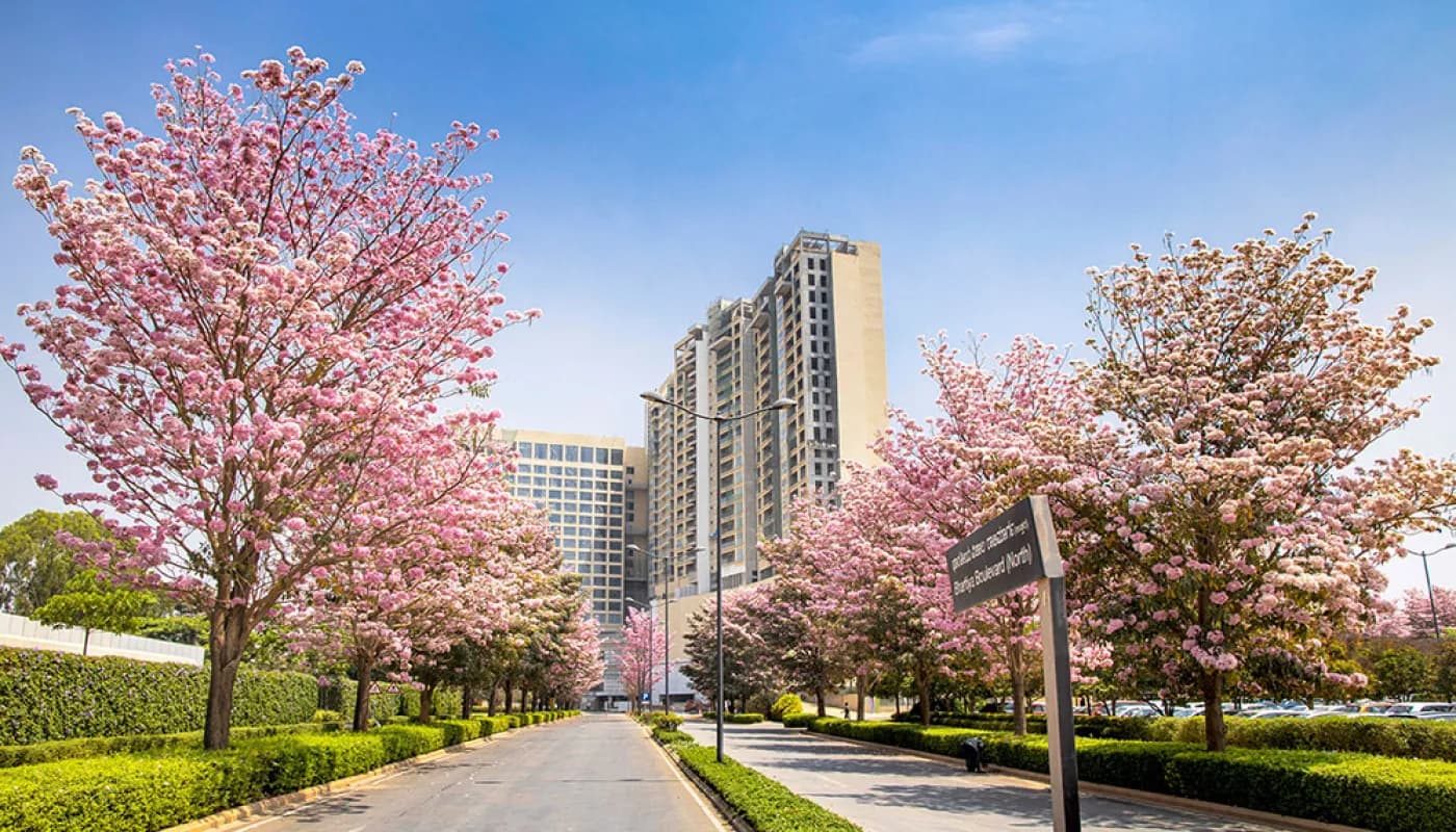 Nikoo Homes VI - Phase 2 image 2 Nikoo Homes VI - Phase 2 image 2