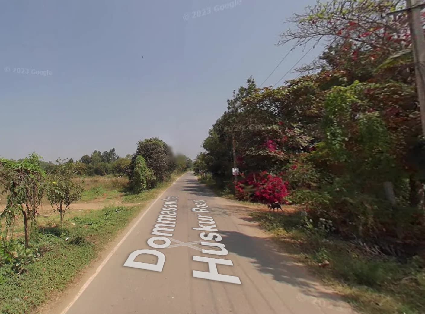 Assetz Trees & Tandem image 6 Assetz Trees & Tandem image 6