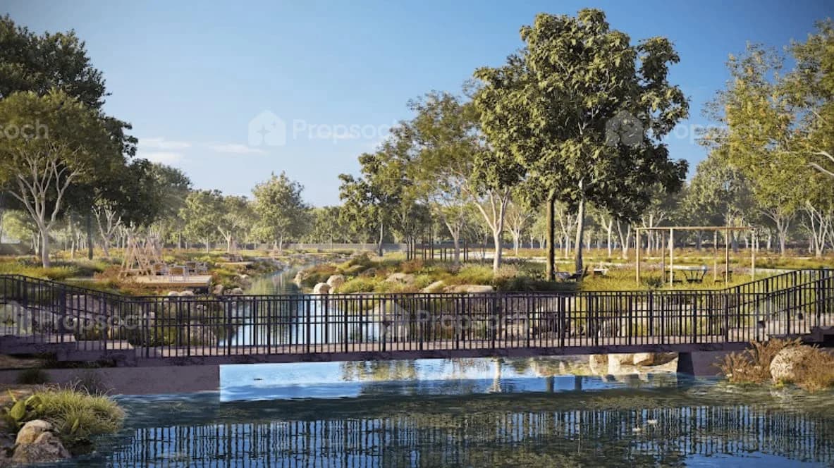 Rewild image 3 Rewild image 3