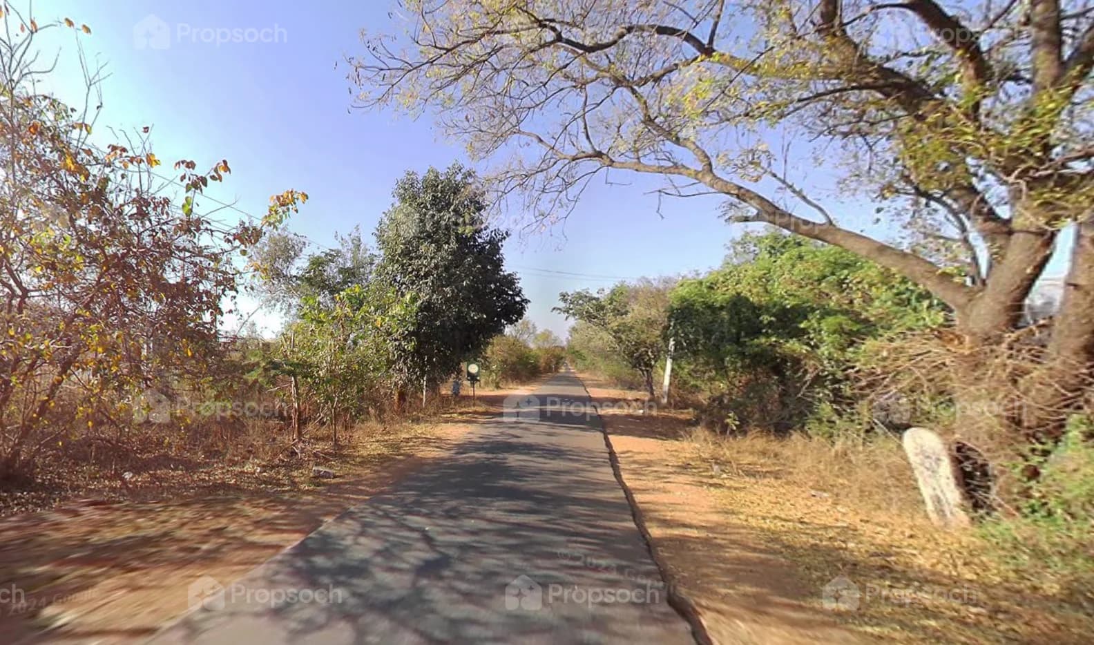 Rewild image 7 Rewild image 7