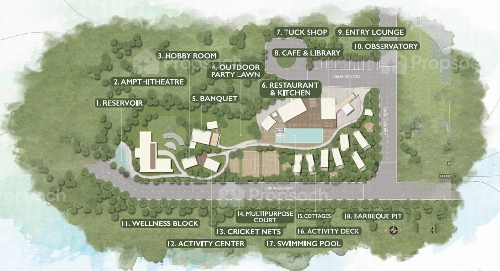 Rewild image 1 Rewild image 1