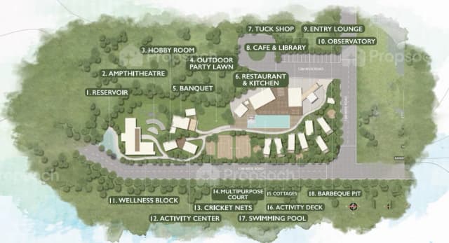 Rewild Doddaballapur Road Bengaluru Views Rewild Doddaballapur Road Bengaluru Views