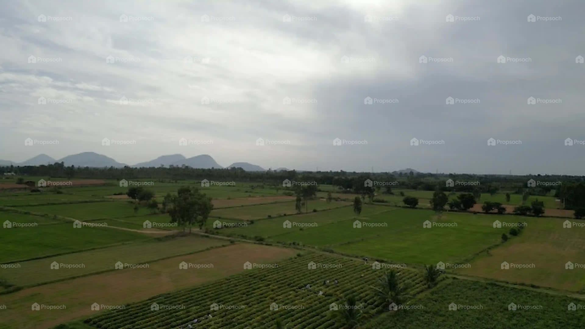 Lagos by Bricks and Milestones image 6 Lagos by Bricks and Milestones image 6