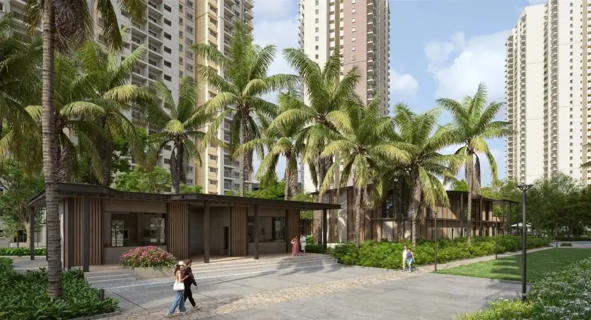 Alembic Cloud Forest image 2 Alembic Cloud Forest image 2