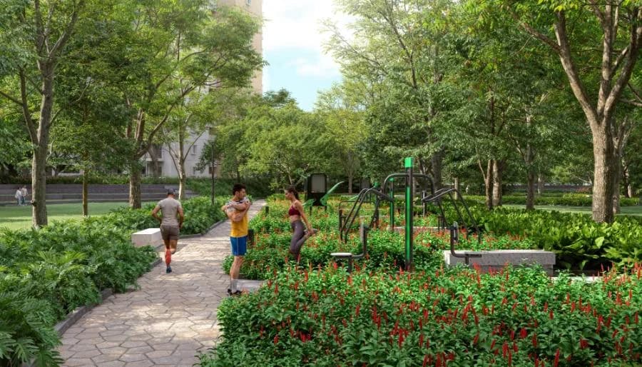 Alembic Cloud Forest image 4 Alembic Cloud Forest image 4