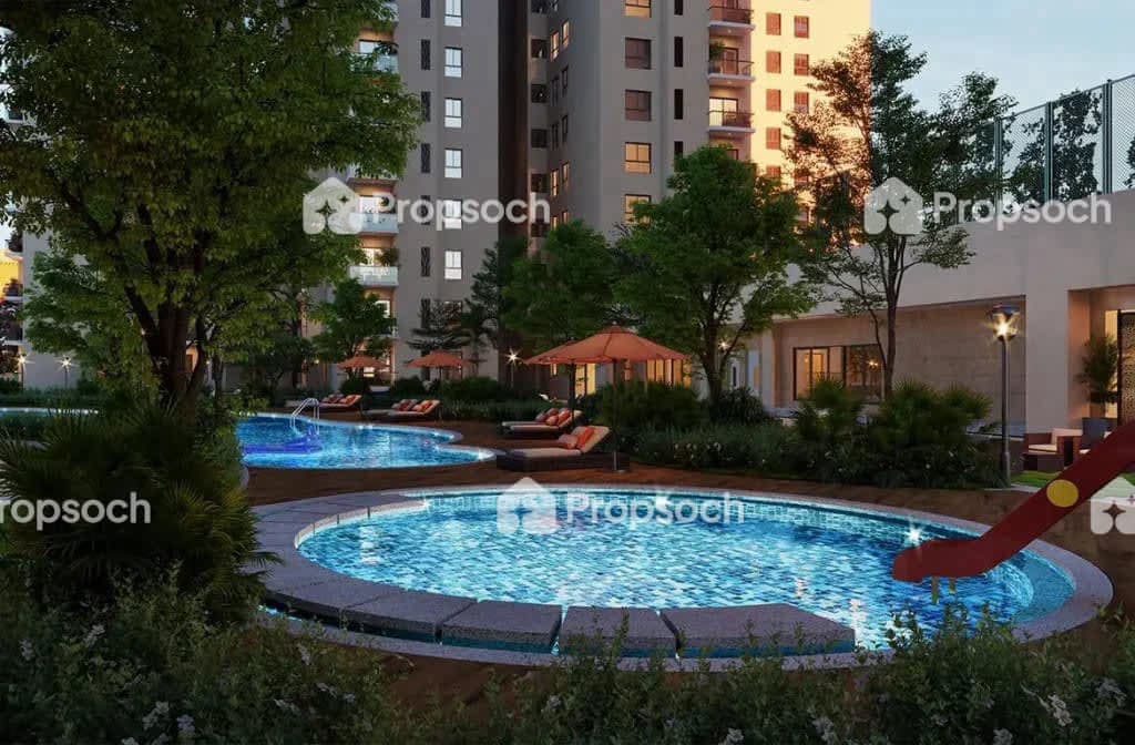 Century Regalia (Project 2) image 5 Century Regalia (Project 2) image 5