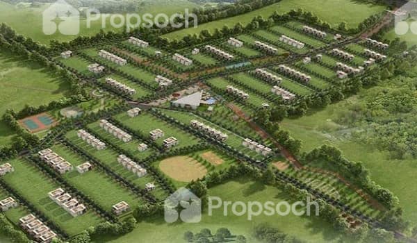 Kns Candrill image 2 Kns Candrill image 2