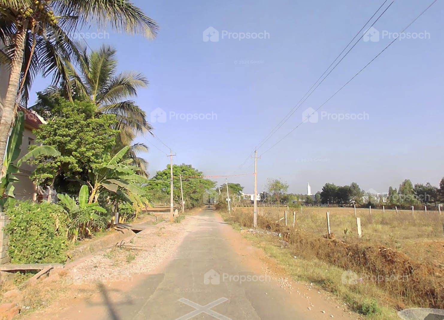 Sammy's Palm Hills image 7 Sammy's Palm Hills image 7