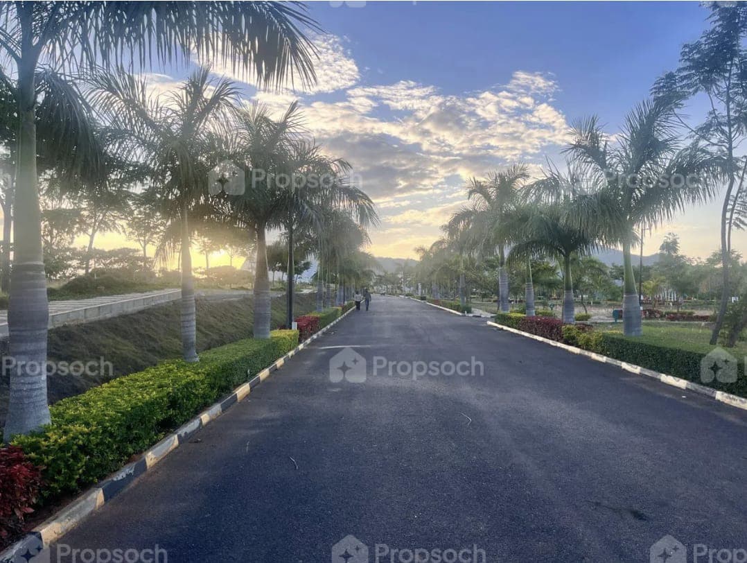 Sammy's Palm Hills image 2 Sammy's Palm Hills image 2