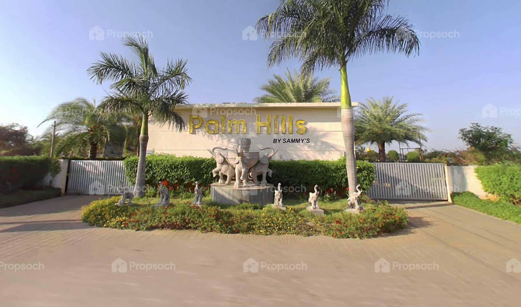 Sammy's Palm Hills image 6 Sammy's Palm Hills image 6