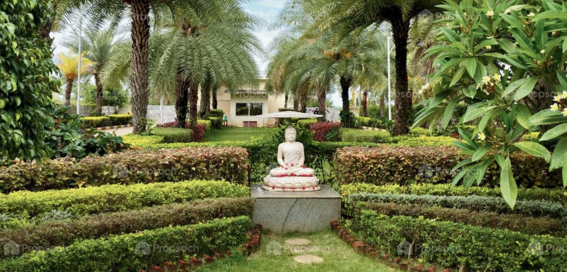 Sammy's Palm Hills image 4 Sammy's Palm Hills image 4