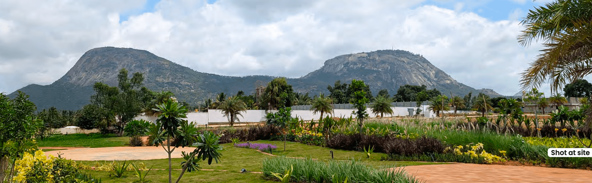 Rare Earth Montira image 7 Rare Earth Montira image 7