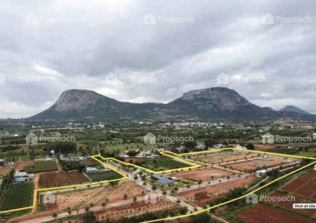 Rare Earth Montira Nandi Hills Bengaluru Views Rare Earth Montira Nandi Hills Bengaluru Views