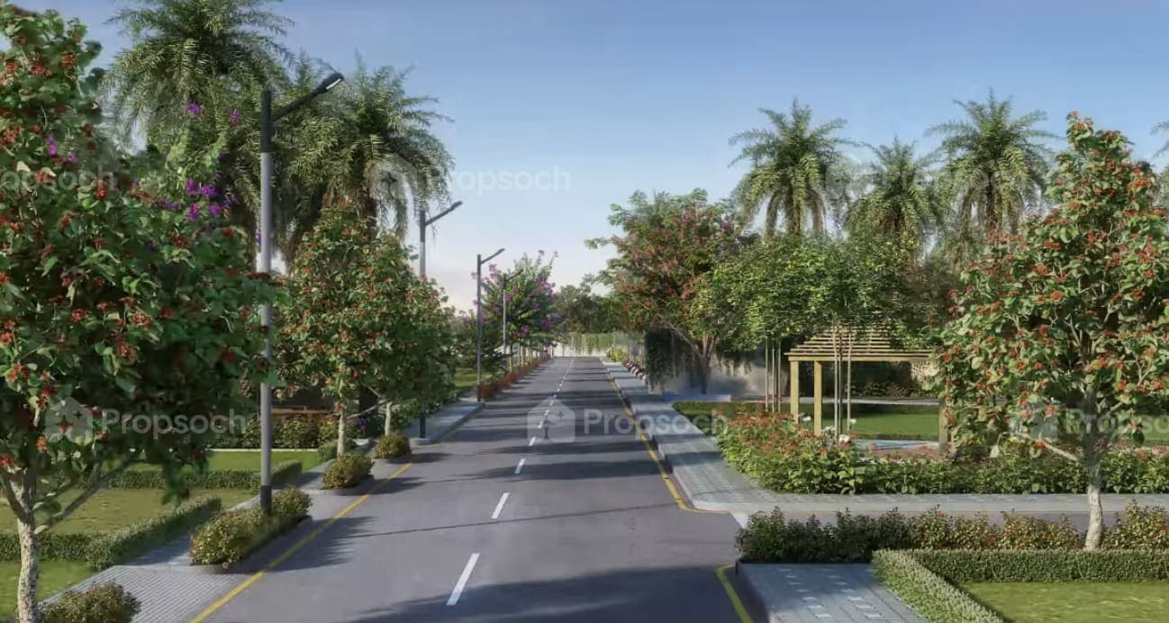 Green Groves image 5 Green Groves image 5