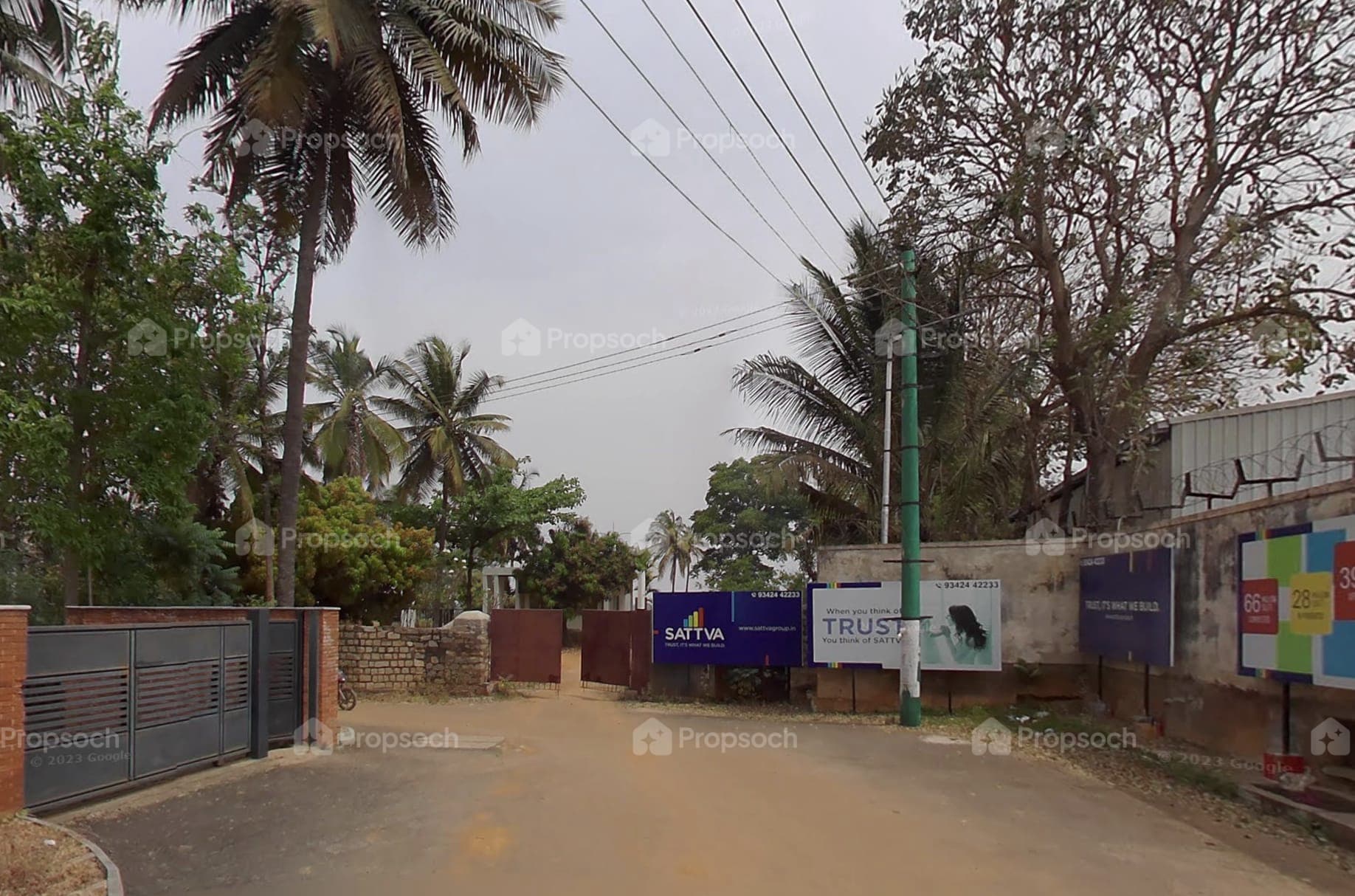 Green Groves image 11 Green Groves image 11