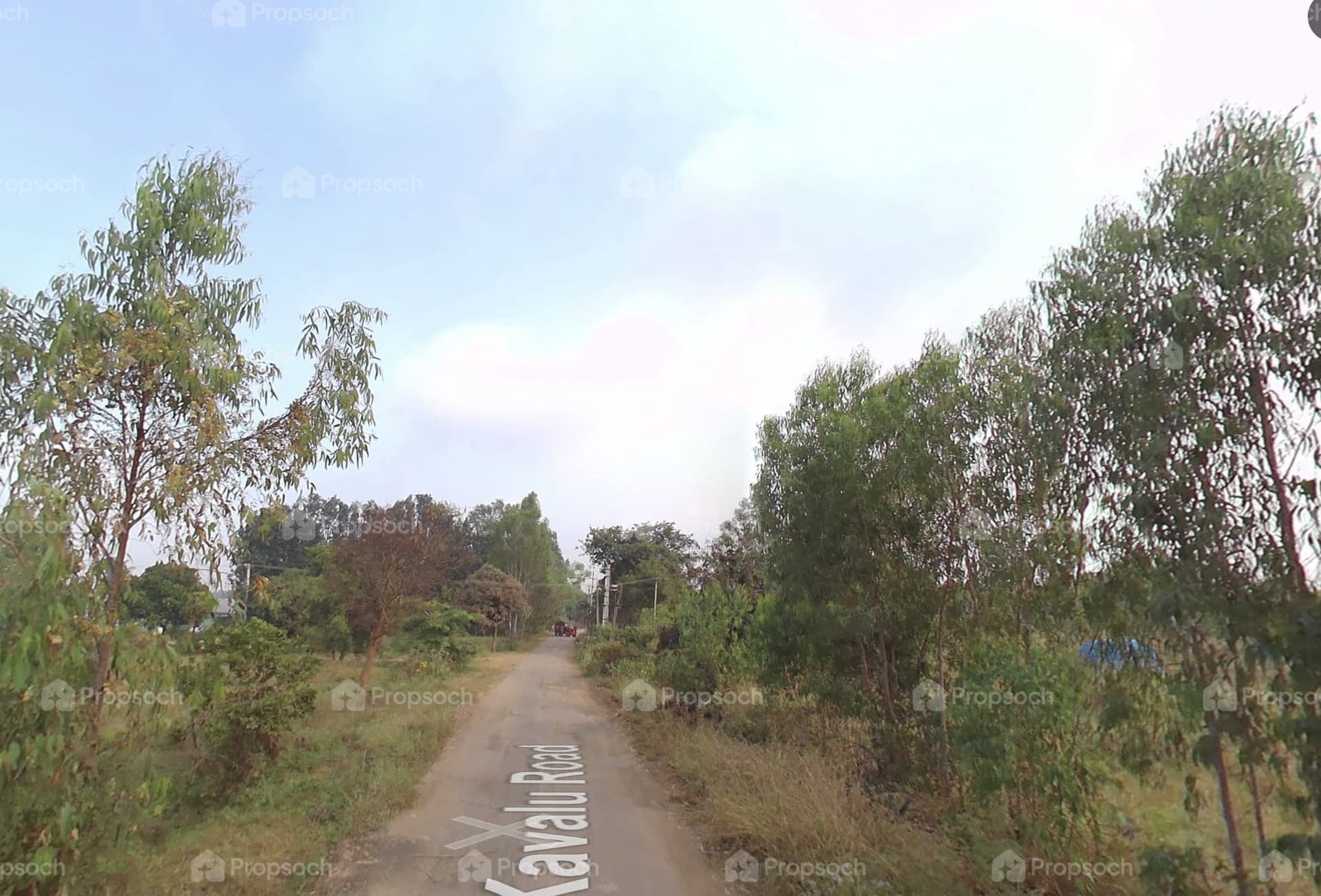 Manyata Ekamoi image 5 Manyata Ekamoi image 5