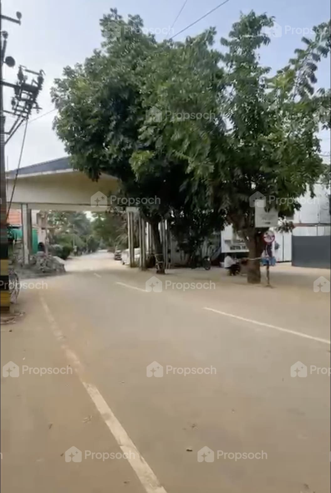 The Urban Forest image 5 The Urban Forest image 5