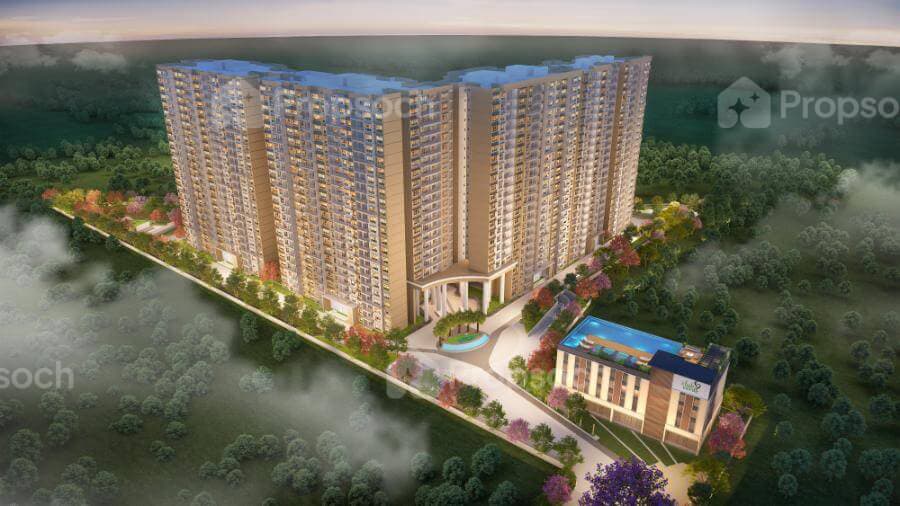 The Urban Forest image 2 The Urban Forest image 2