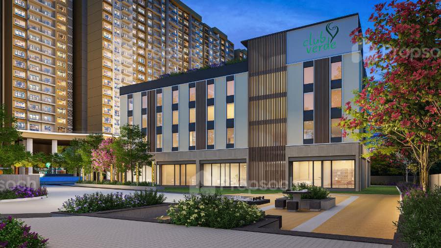 Image of The Urban Forest Image of The Urban Forest