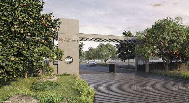 Arvind Orchards Devanahalli Bengaluru Views Arvind Orchards Devanahalli Bengaluru Views